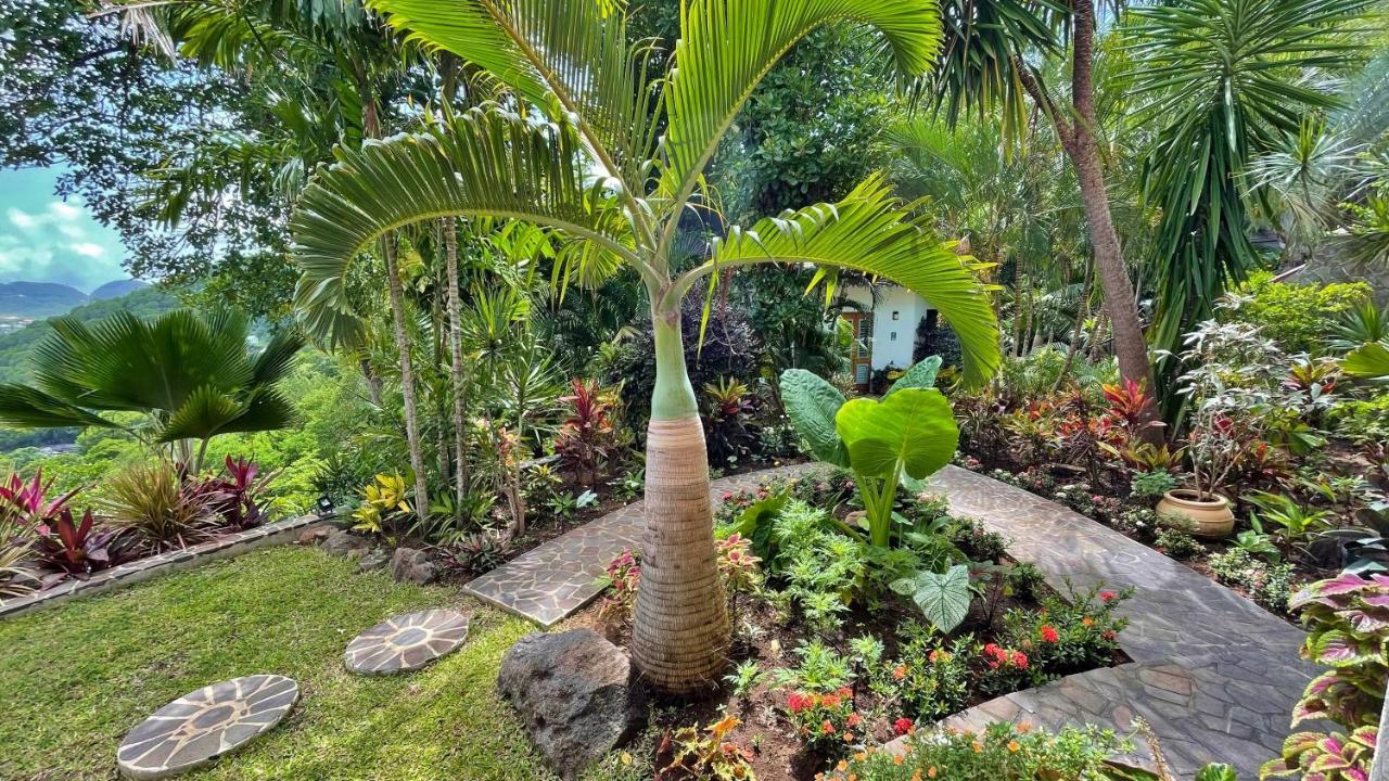 Tropical Hideaway Hotel Port Elizabeth Екстериор снимка