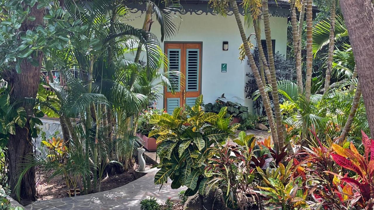 Tropical Hideaway Hotel Port Elizabeth Екстериор снимка